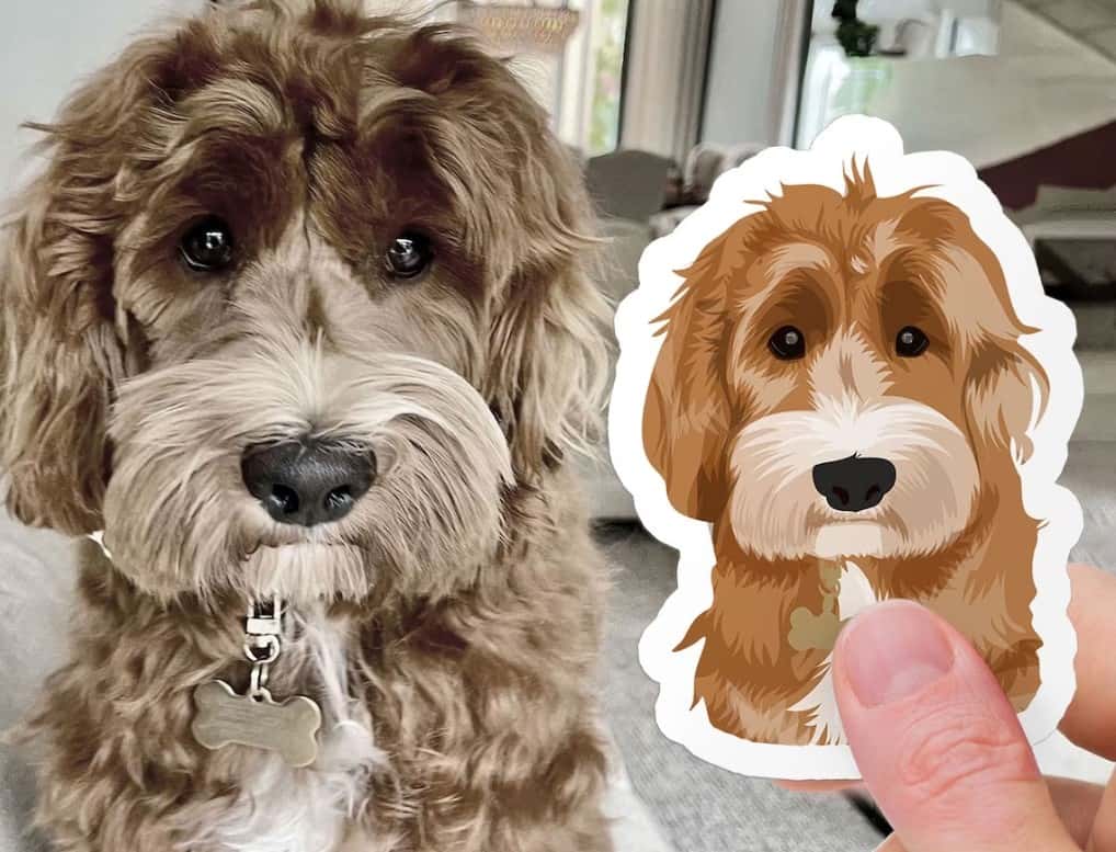 Hand Drawn Custom Pet Sticker